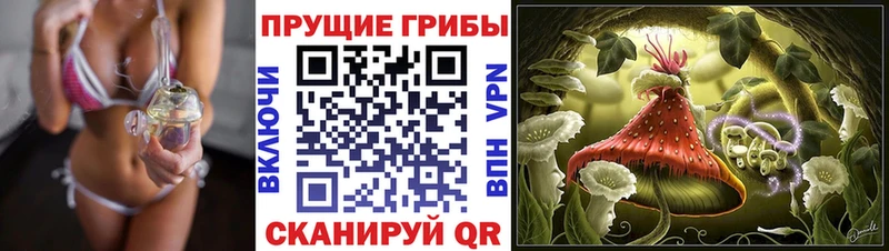 Галлюциногенные грибы прущие грибы  Лихославль 